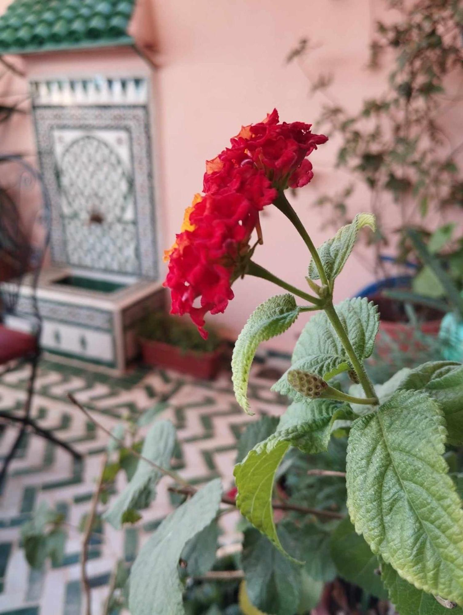 Hotel Dar Lantana Fez Exterior foto